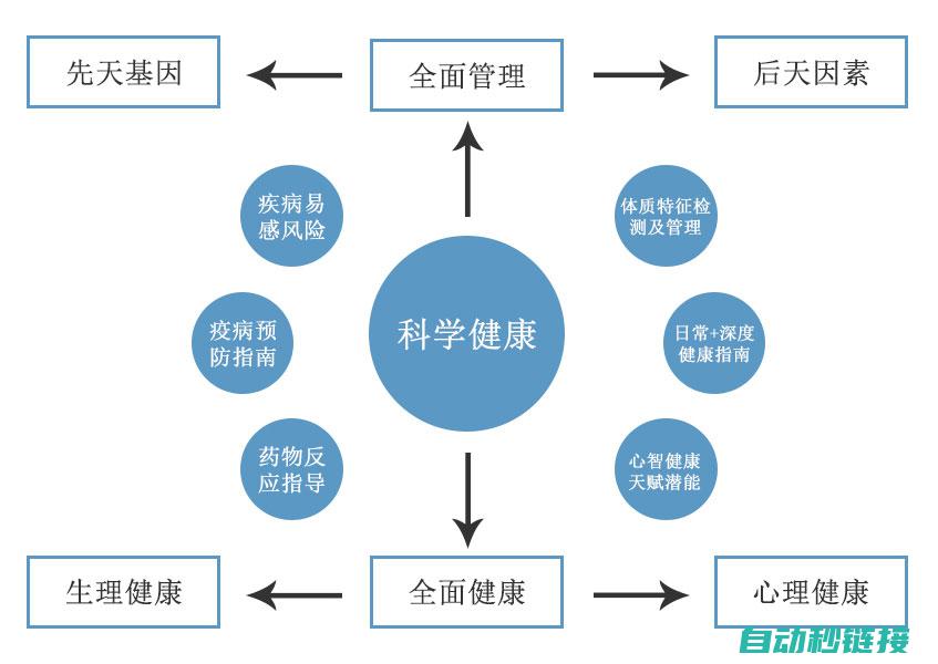 探究其成因、影响与解决方案 (探究原因)