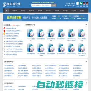 管理软件系统网(SAAS云平台) - 德尔普软件