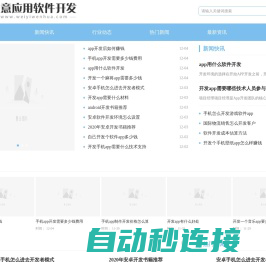 维意应用软件开发网